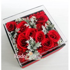 Splendeur Box: Red Charm